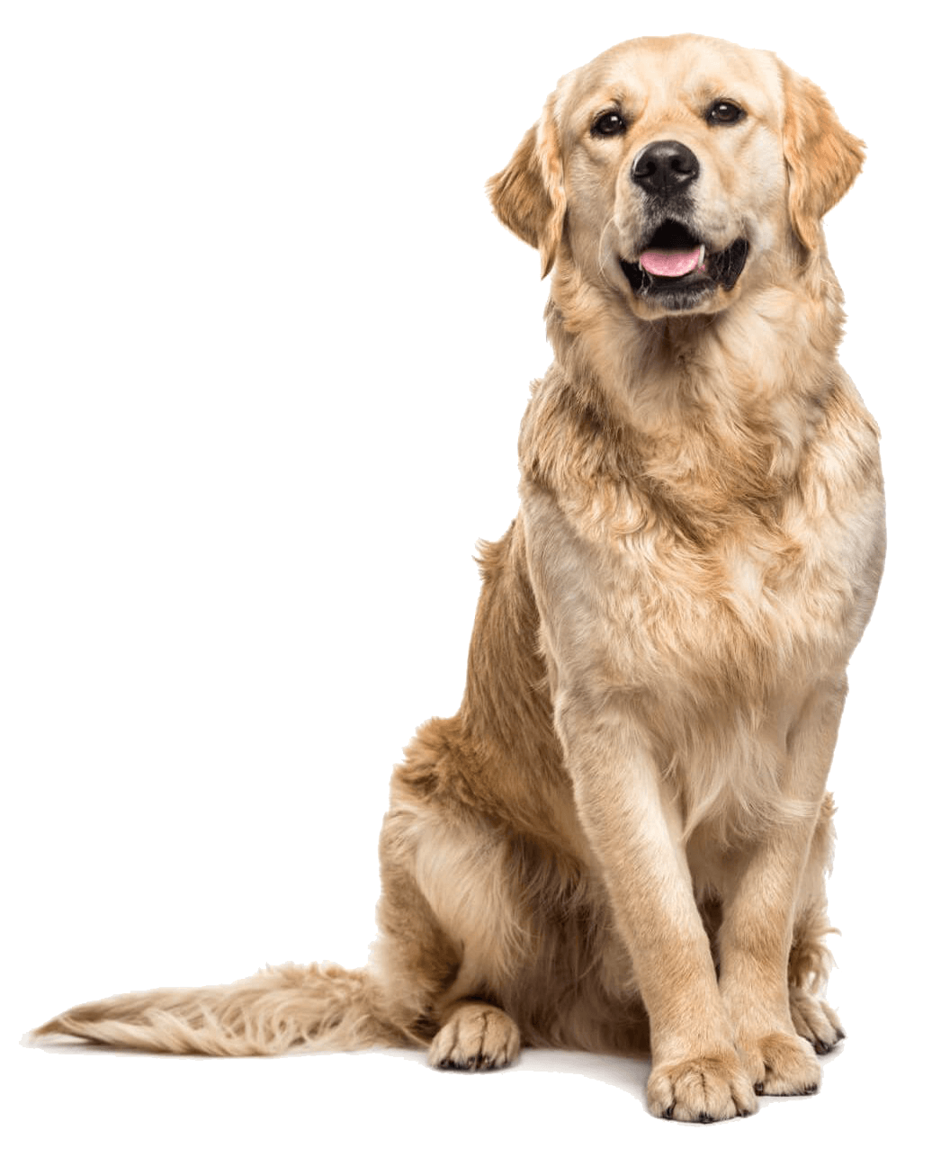 Veterinarian Clinic in Philadelphia, PA